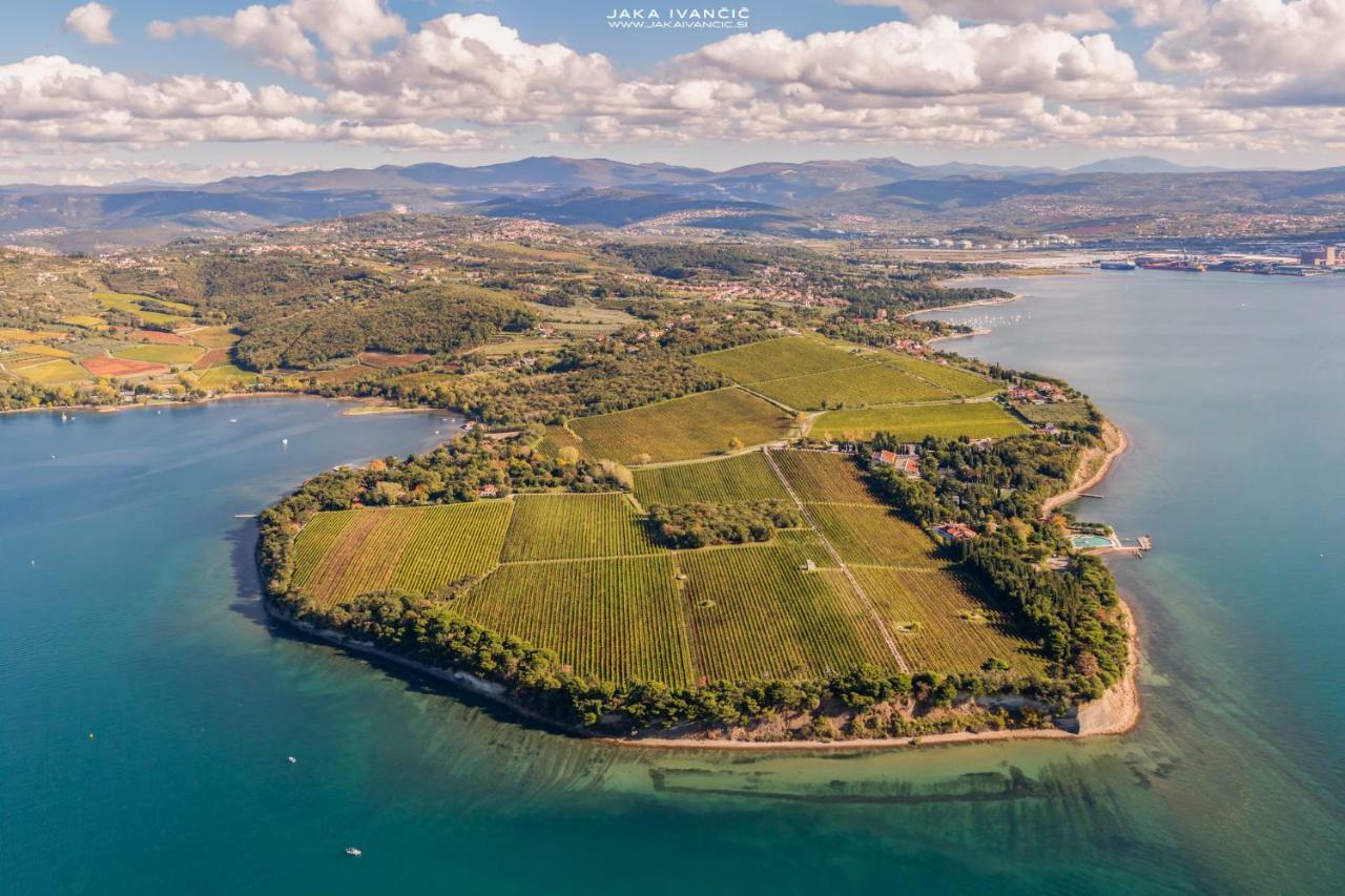 Istrian Lux Residence Koper Bagian luar foto