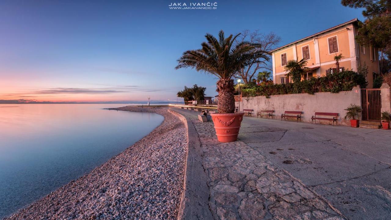 Istrian Lux Residence Koper Bagian luar foto
