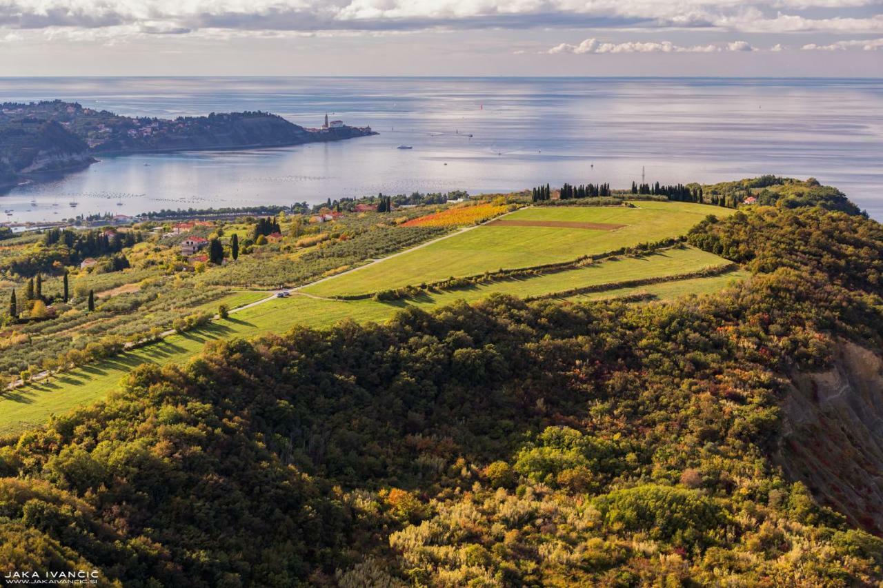 Istrian Lux Residence Koper Bagian luar foto