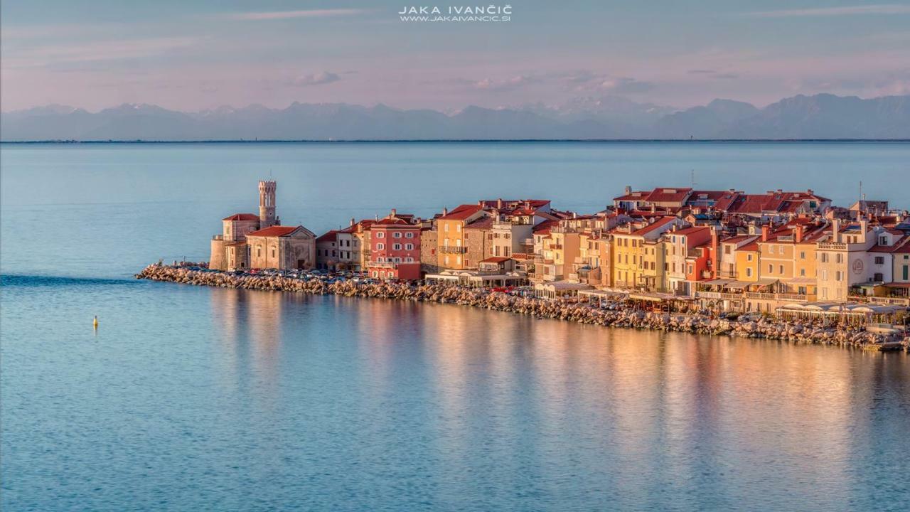 Istrian Lux Residence Koper Bagian luar foto